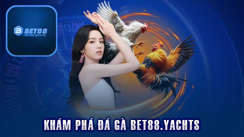 Khám Phá Đá Gà Bet88 – Điểm Đến Lý Tưởng Của Mọi Nhà